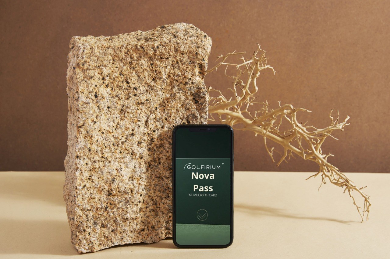 Phone with a green app interface next to a textured stone and branch on a brown background